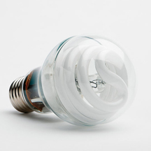 Halogen light